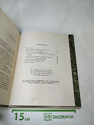 Тарханская пора