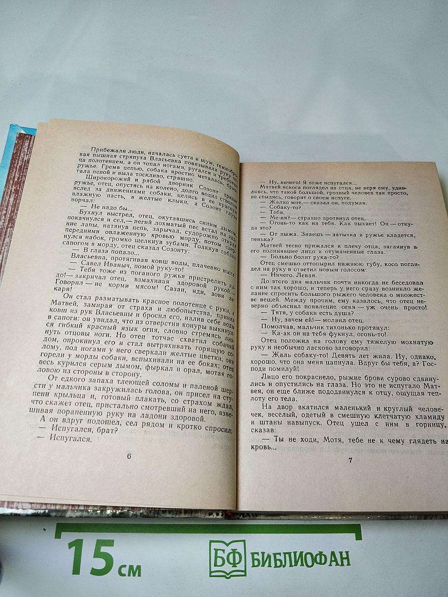 Жизнь Матвея Кожемякина
