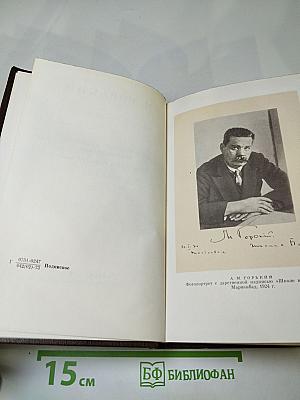 Полное собрание сочинений. Том семнадцатый: Заметки из дневника. Воспоминания; Рассказы 1922-1924 годов