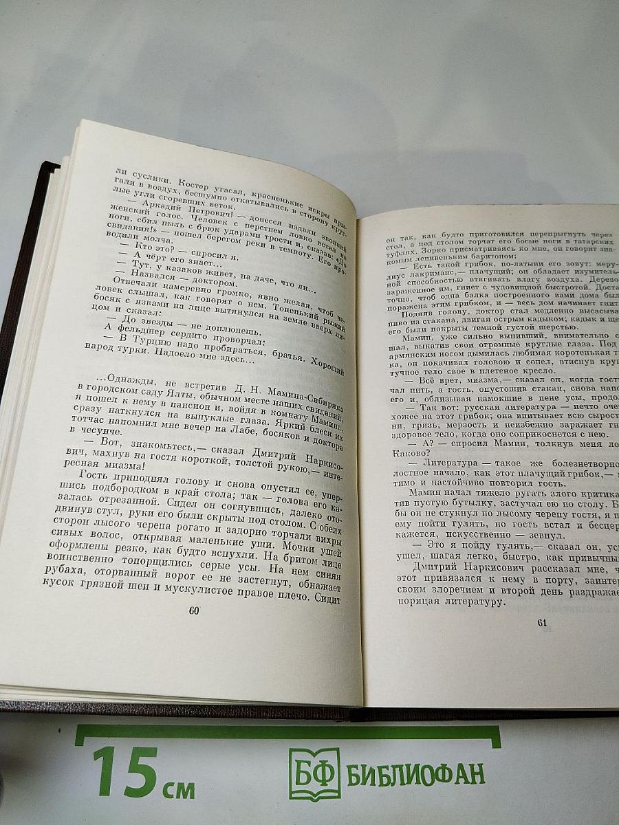 Полное собрание сочинений. Том семнадцатый: Заметки из дневника. Воспоминания; Рассказы 1922-1924 годов