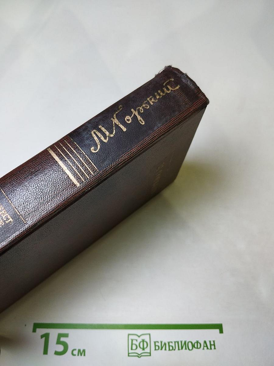 Полное собрание сочинений. Том семнадцатый: Заметки из дневника. Воспоминания; Рассказы 1922-1924 годов