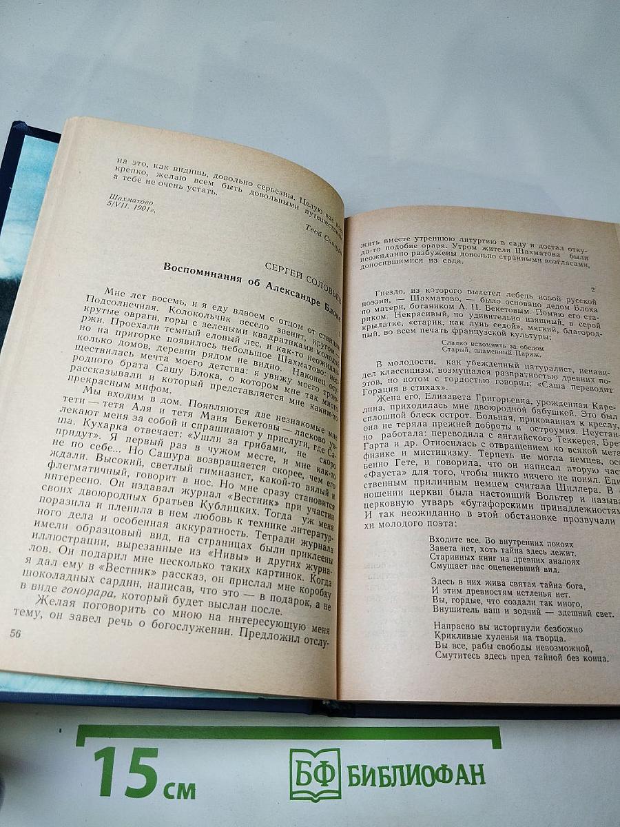 Я лучшей доли не искал... Судьба Александра Блока в письмах, дневниках, воспоминаниях