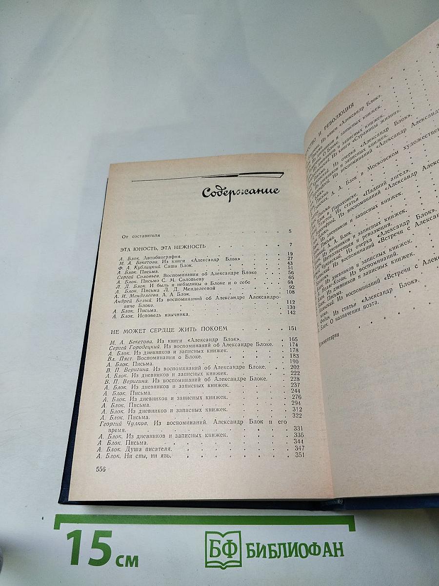 Я лучшей доли не искал... Судьба Александра Блока в письмах, дневниках, воспоминаниях