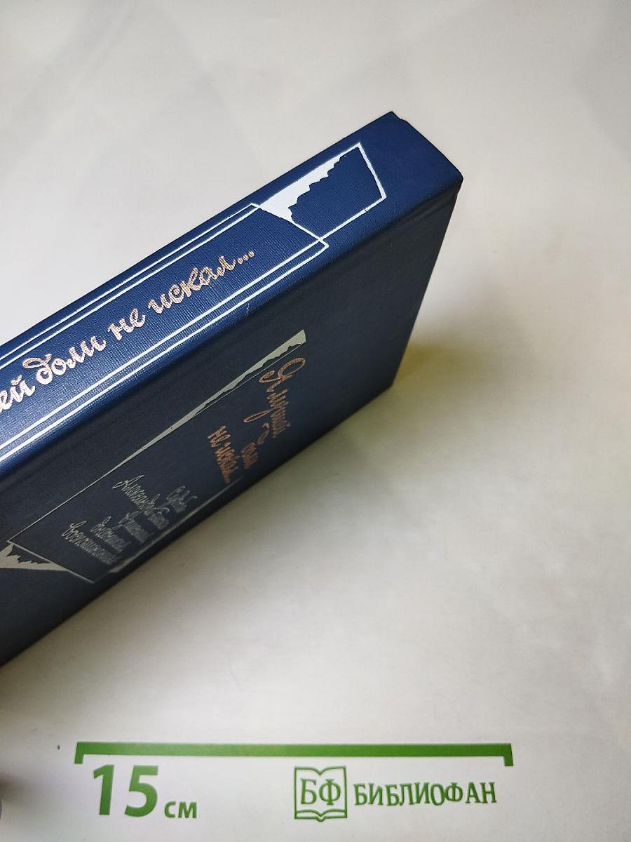 Я лучшей доли не искал... Судьба Александра Блока в письмах, дневниках, воспоминаниях