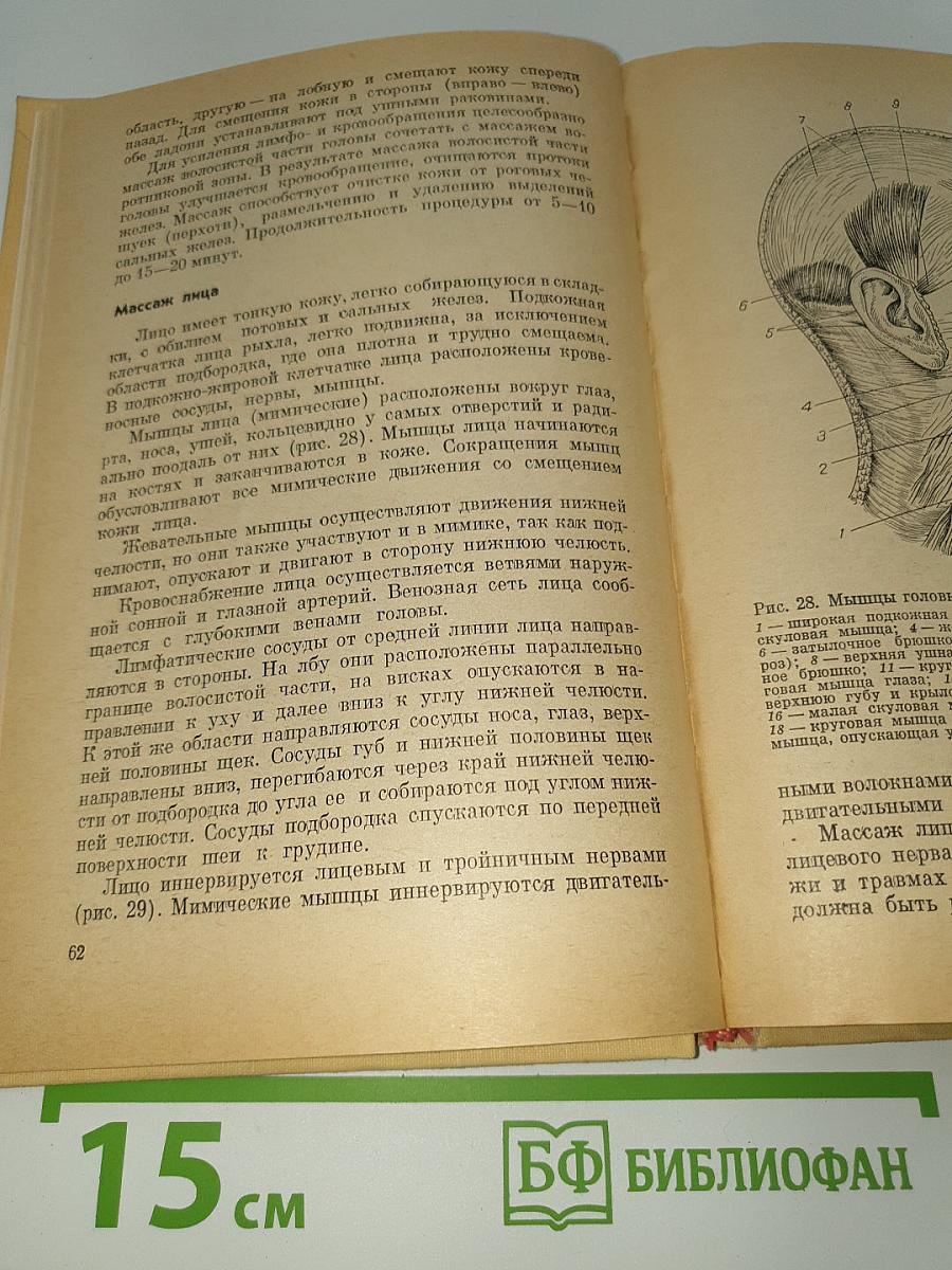 Руководство по лечебному массажу