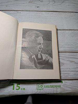 Пьесы. Том второй