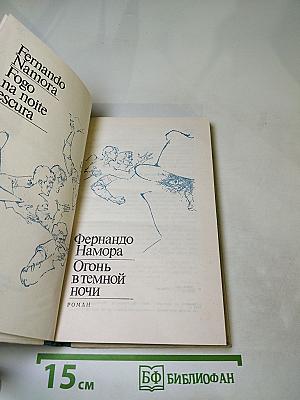 Огонь в темной ночи