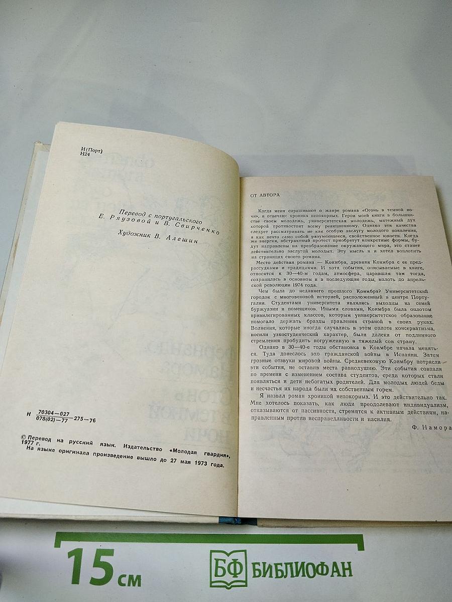 Огонь в темной ночи