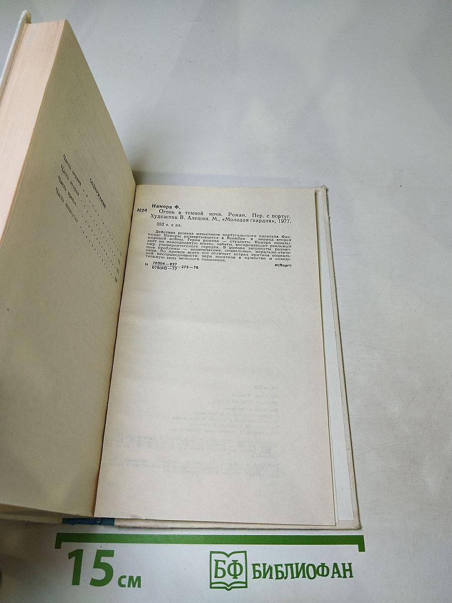 Огонь в темной ночи