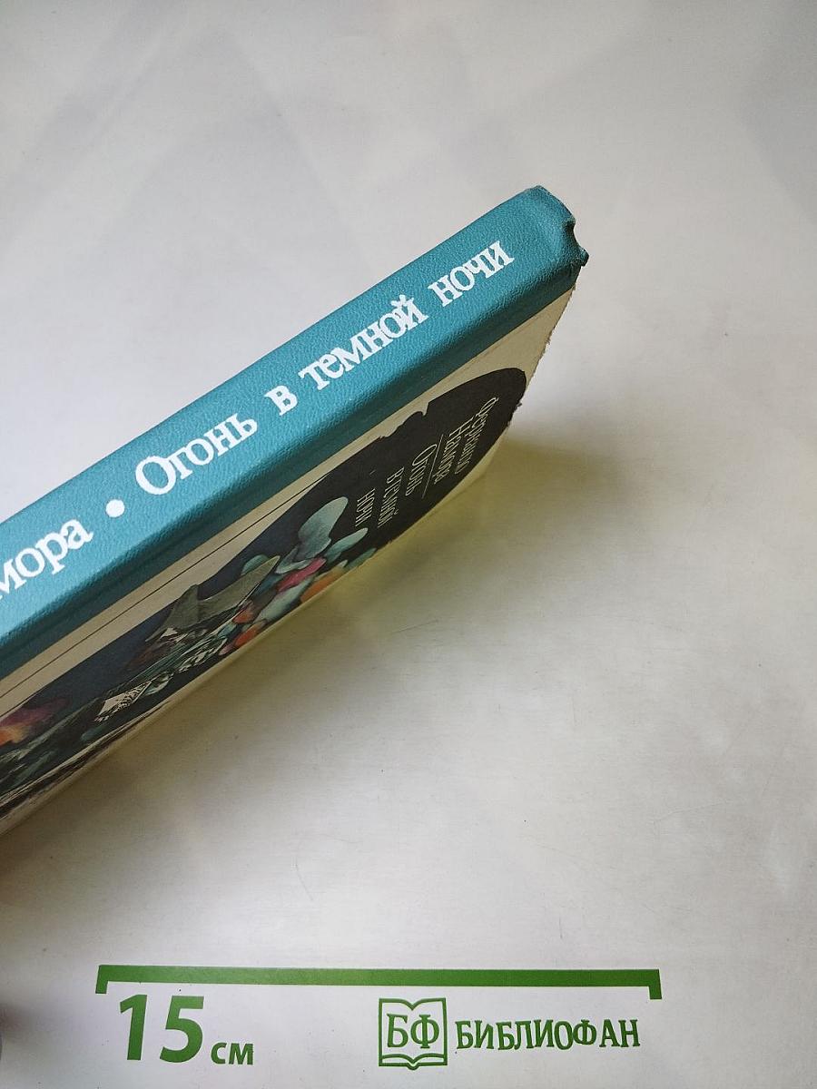 Огонь в темной ночи