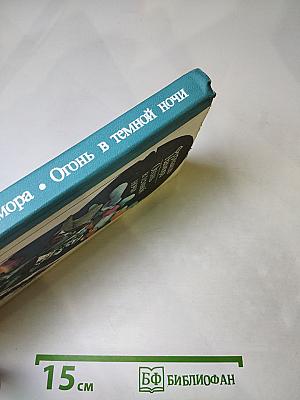 Огонь в темной ночи