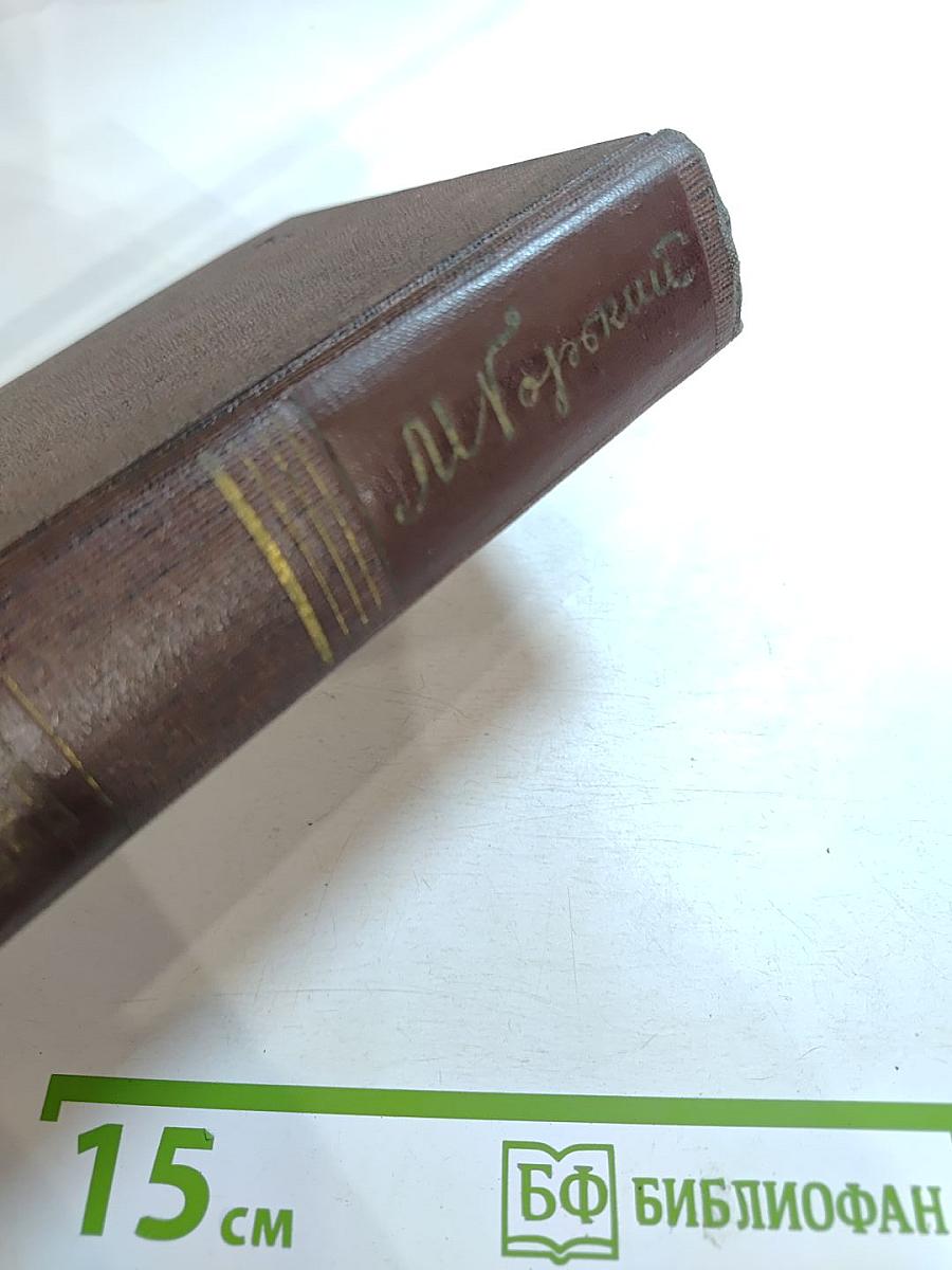 Собрание сочинений. Том четырнадцатый. Повесть. Рассказы. 1912-1917