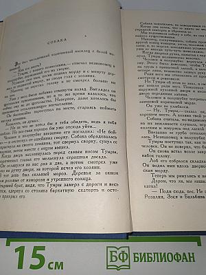 Рассказы