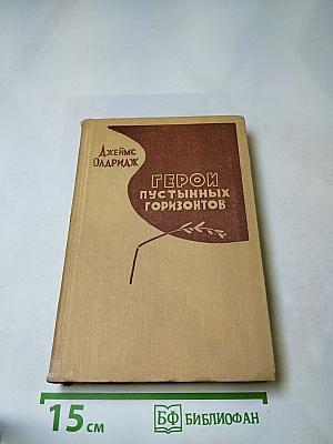 Герой пустынных горизонтов