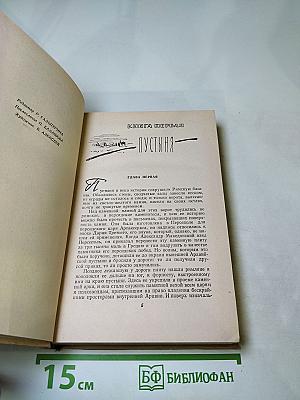 Герой пустынных горизонтов