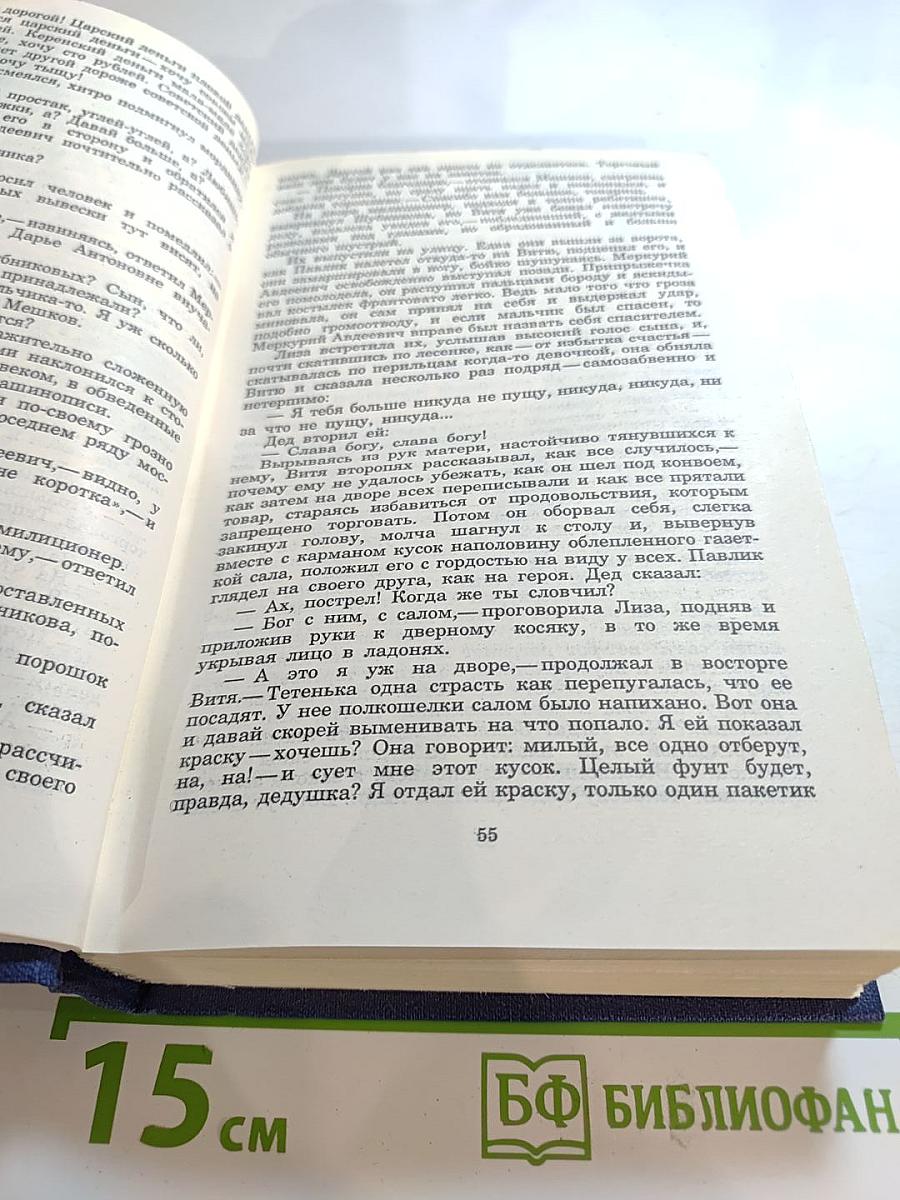 Необыкновенное лето. Том Шестой. Собрание сочинений