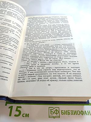 Необыкновенное лето. Том Шестой. Собрание сочинений