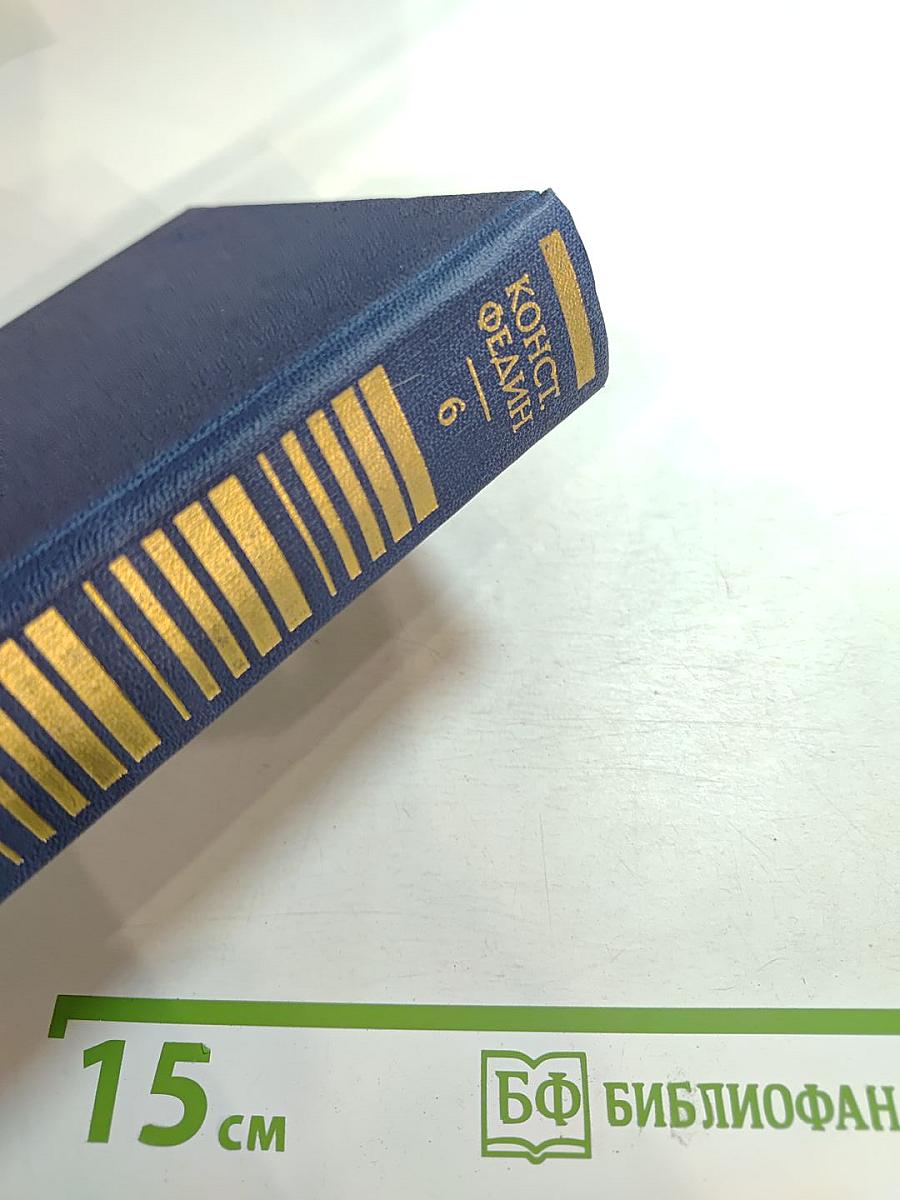 Необыкновенное лето. Том Шестой. Собрание сочинений