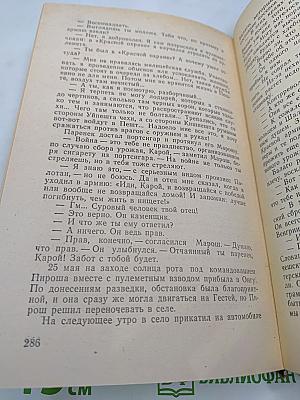 Северные ворота