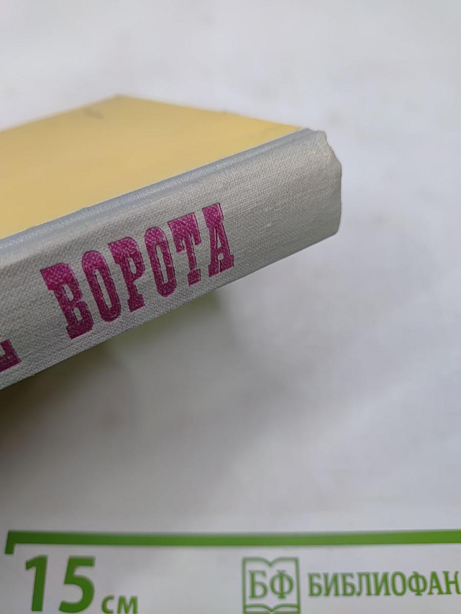 Северные ворота