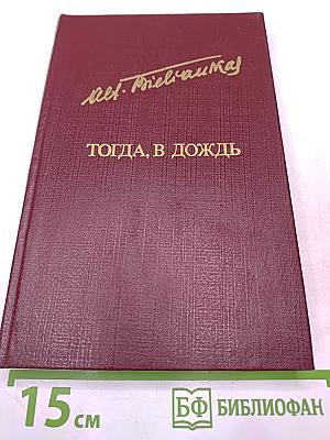 Тогда, в дождь
