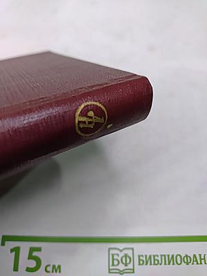 Тогда, в дождь