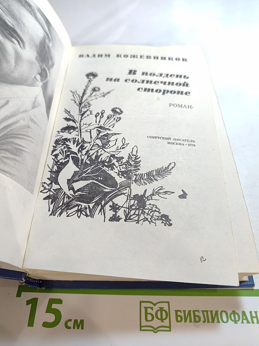 В полдень на солнечной стороне