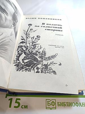 В полдень на солнечной стороне