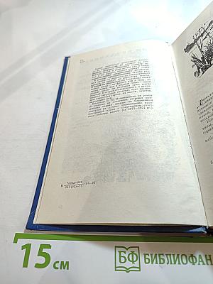 В полдень на солнечной стороне