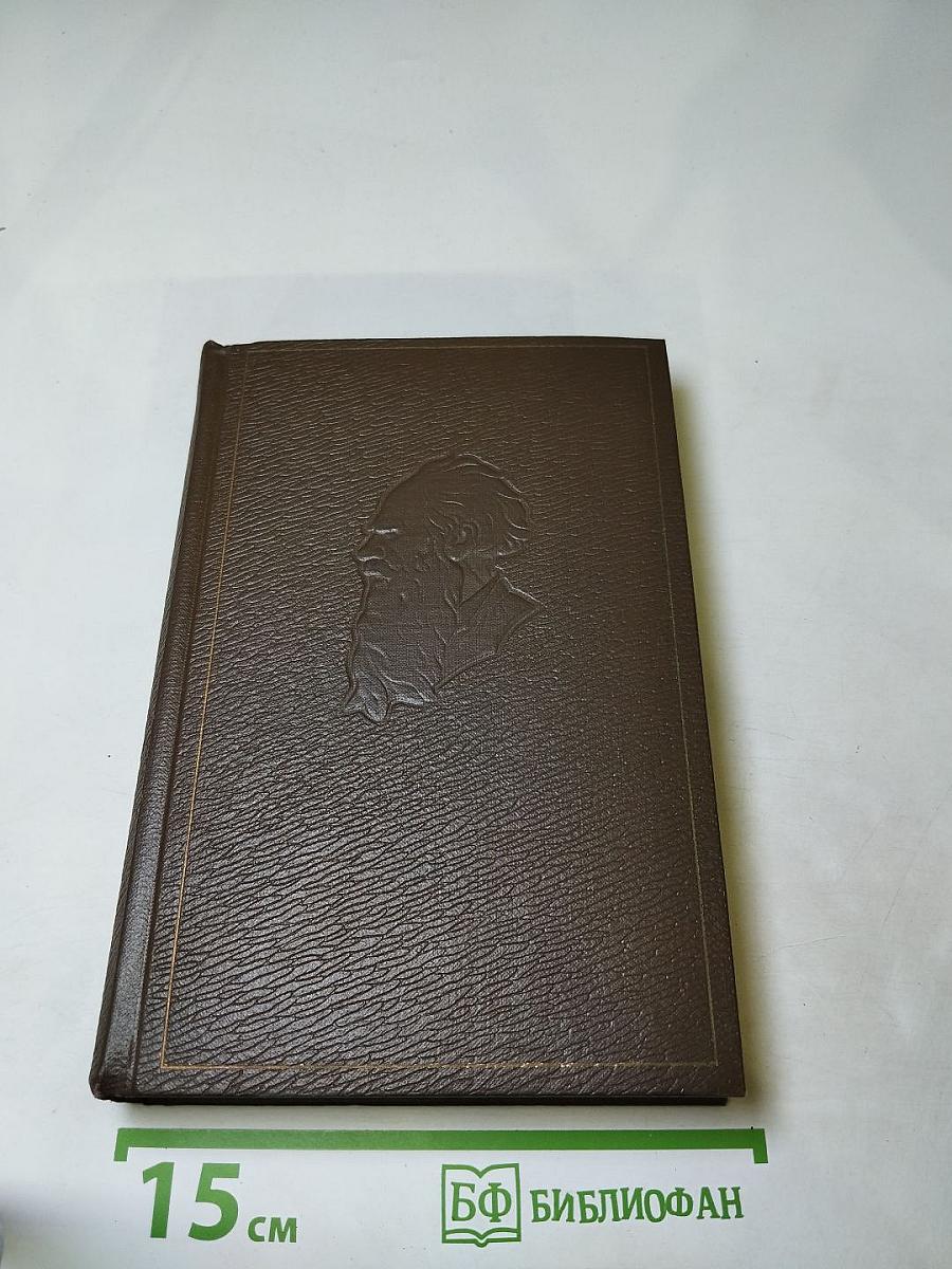 Собрание сочинений. Том девятнадцатый. Дневники 1847-1894 гг.