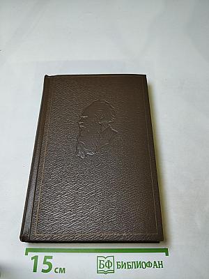 Собрание сочинений. Том девятнадцатый. Дневники 1847-1894 гг.