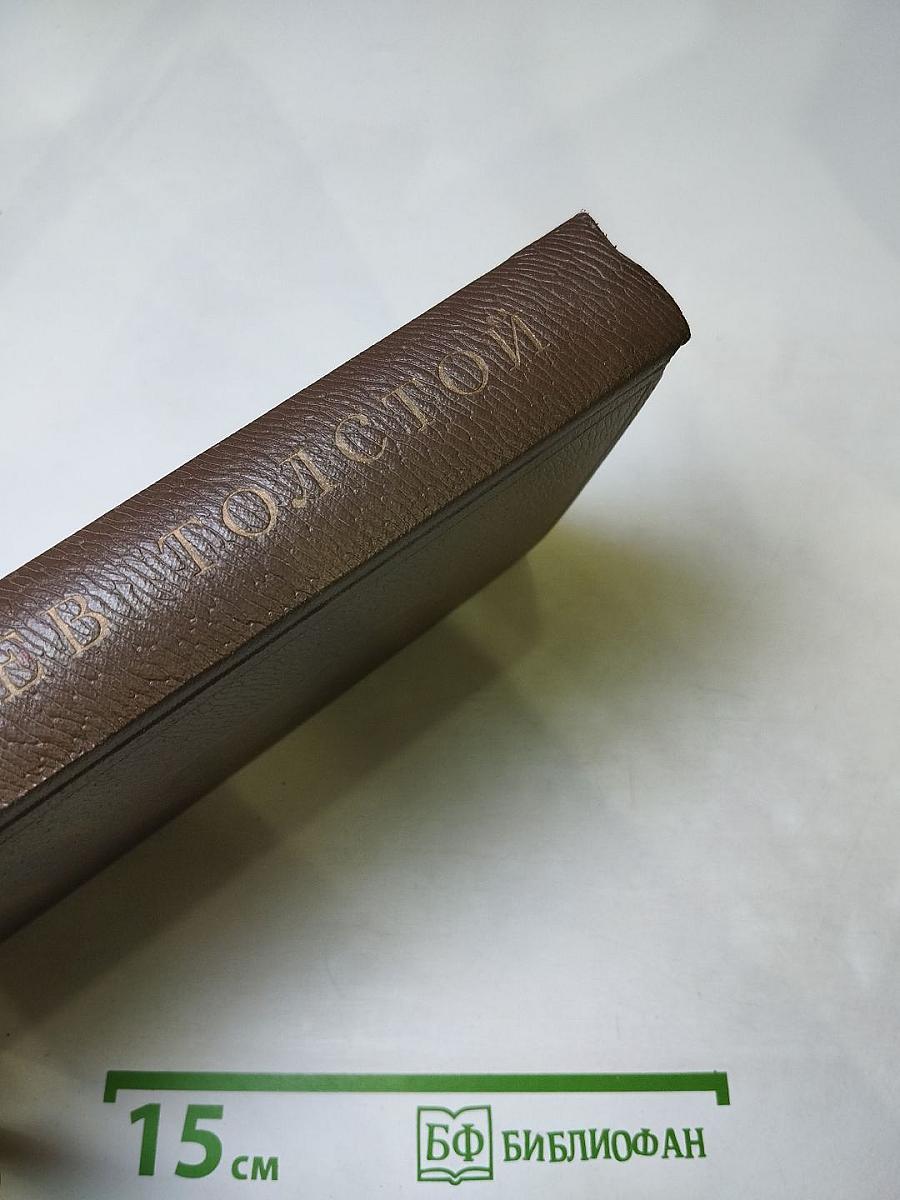 Собрание сочинений. Том девятнадцатый. Дневники 1847-1894 гг.