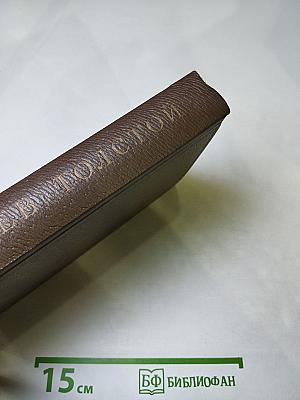 Собрание сочинений. Том девятнадцатый. Дневники 1847-1894 гг.