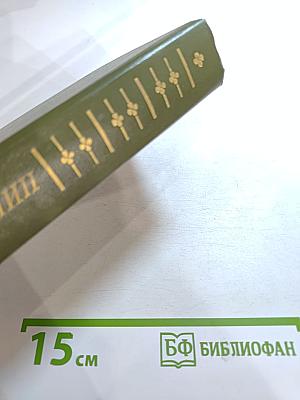 Сумка волшебника