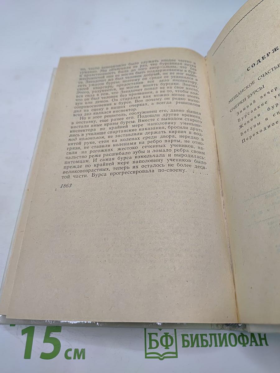 Мещанское счастье. Очерки бурсы