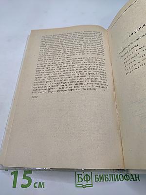 Мещанское счастье. Очерки бурсы