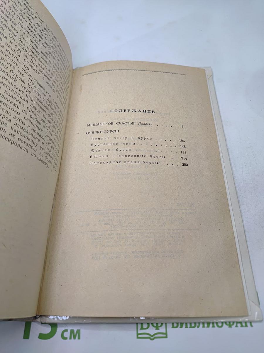 Мещанское счастье. Очерки бурсы
