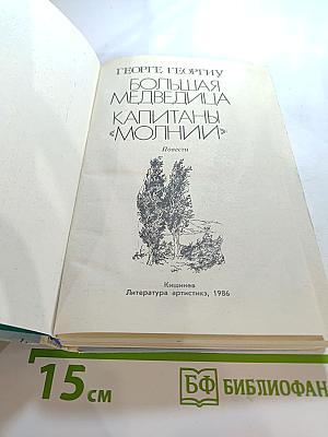 Большая Медведица. Капитаны "Молнии"