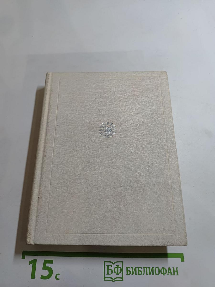 Корабельный бор