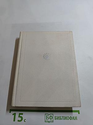 Корабельный бор