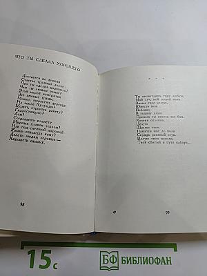 Корабельный бор