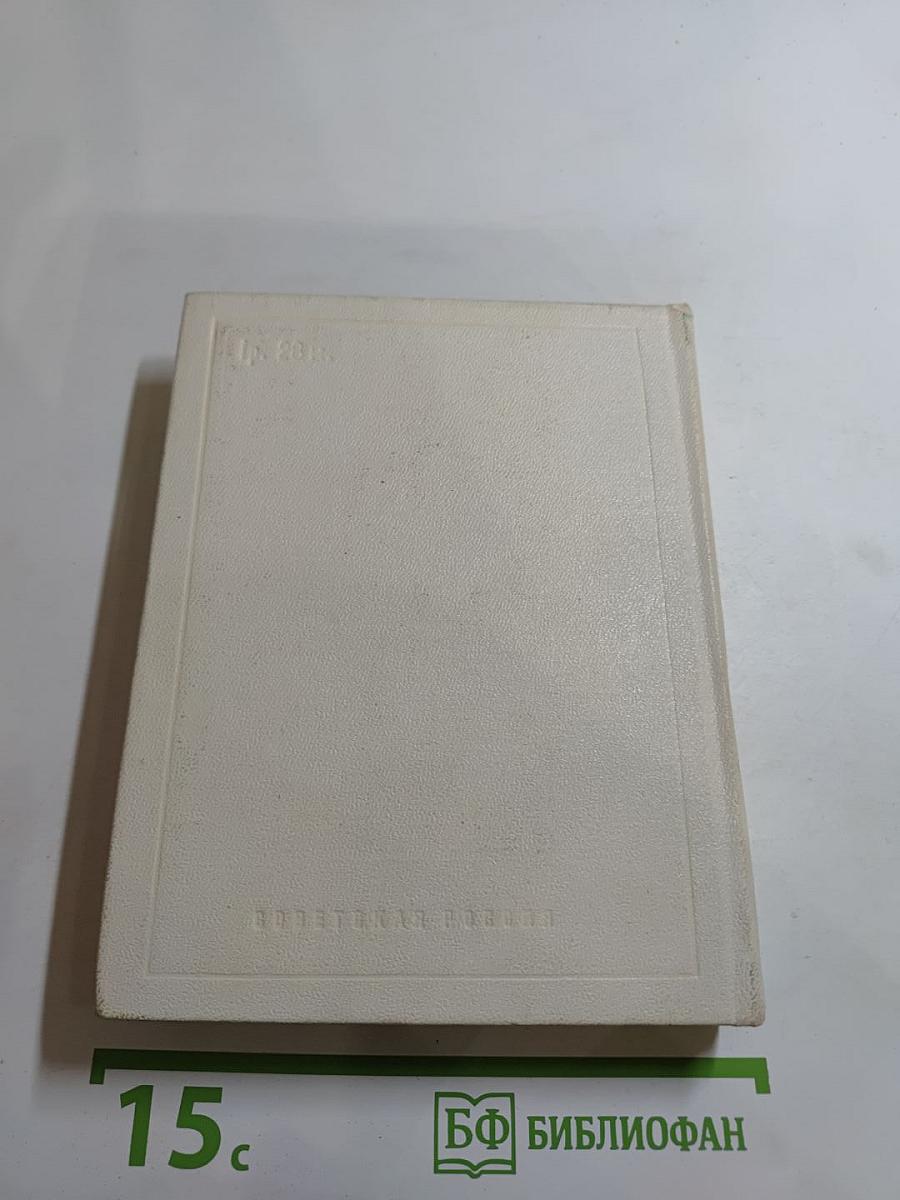 Корабельный бор