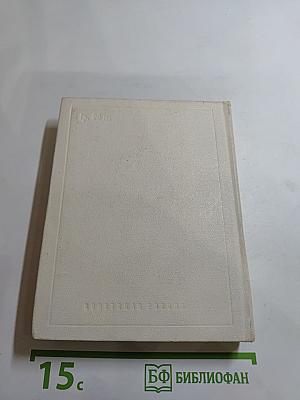 Корабельный бор