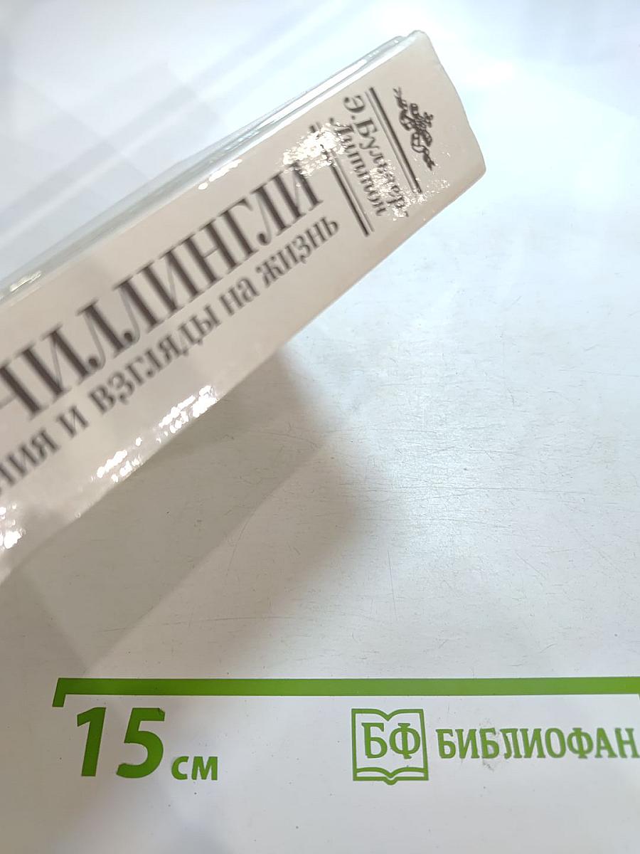 Кенелм Чиллингли: его приключения и взгляды на жизнь