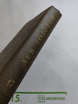 Собрание сочинений. Том 17. Письма 1845-1886 гг.