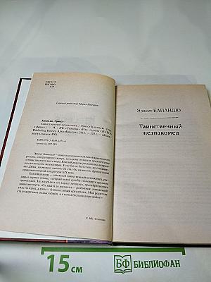 Таинственный незнакомец