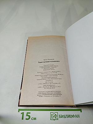 Таинственный незнакомец