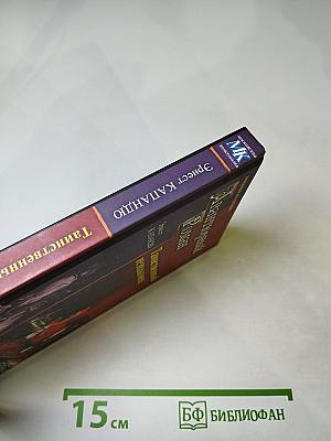 Таинственный незнакомец