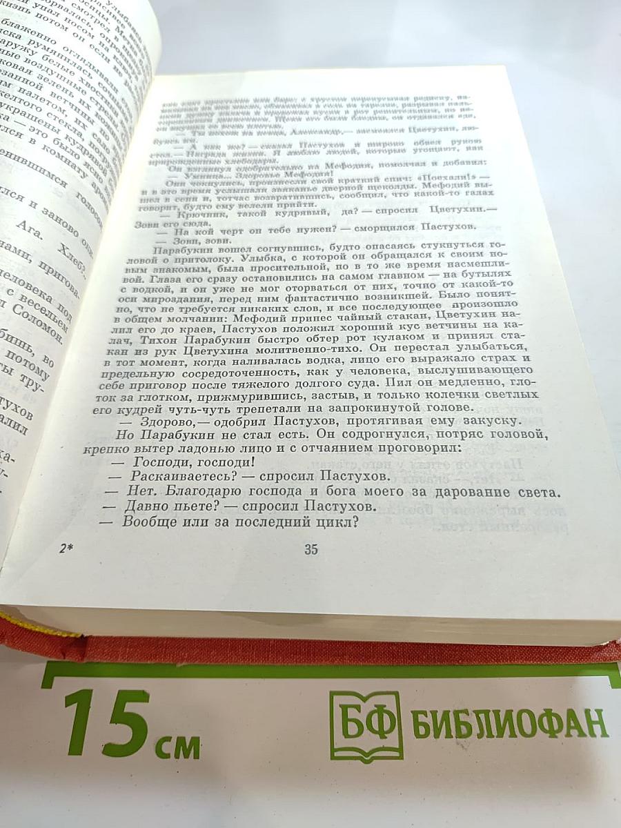 Первые радости. Необыкновенное лето