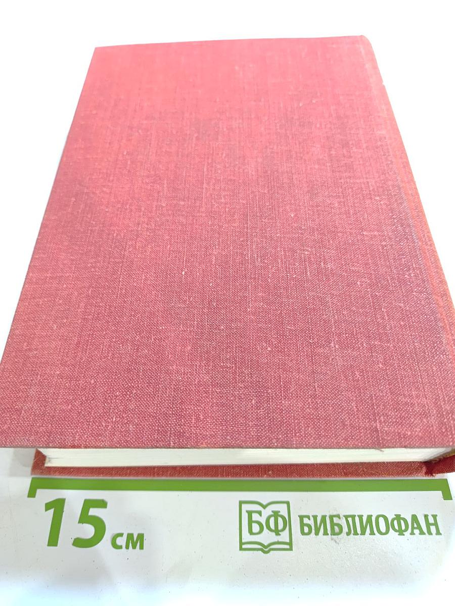 Первые радости. Необыкновенное лето